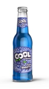 Blueberry Carbonated Drink 250 ml