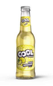 Blueberry Carbonated Drink 250 ml