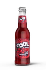 Blueberry Carbonated Drink 250 ml
